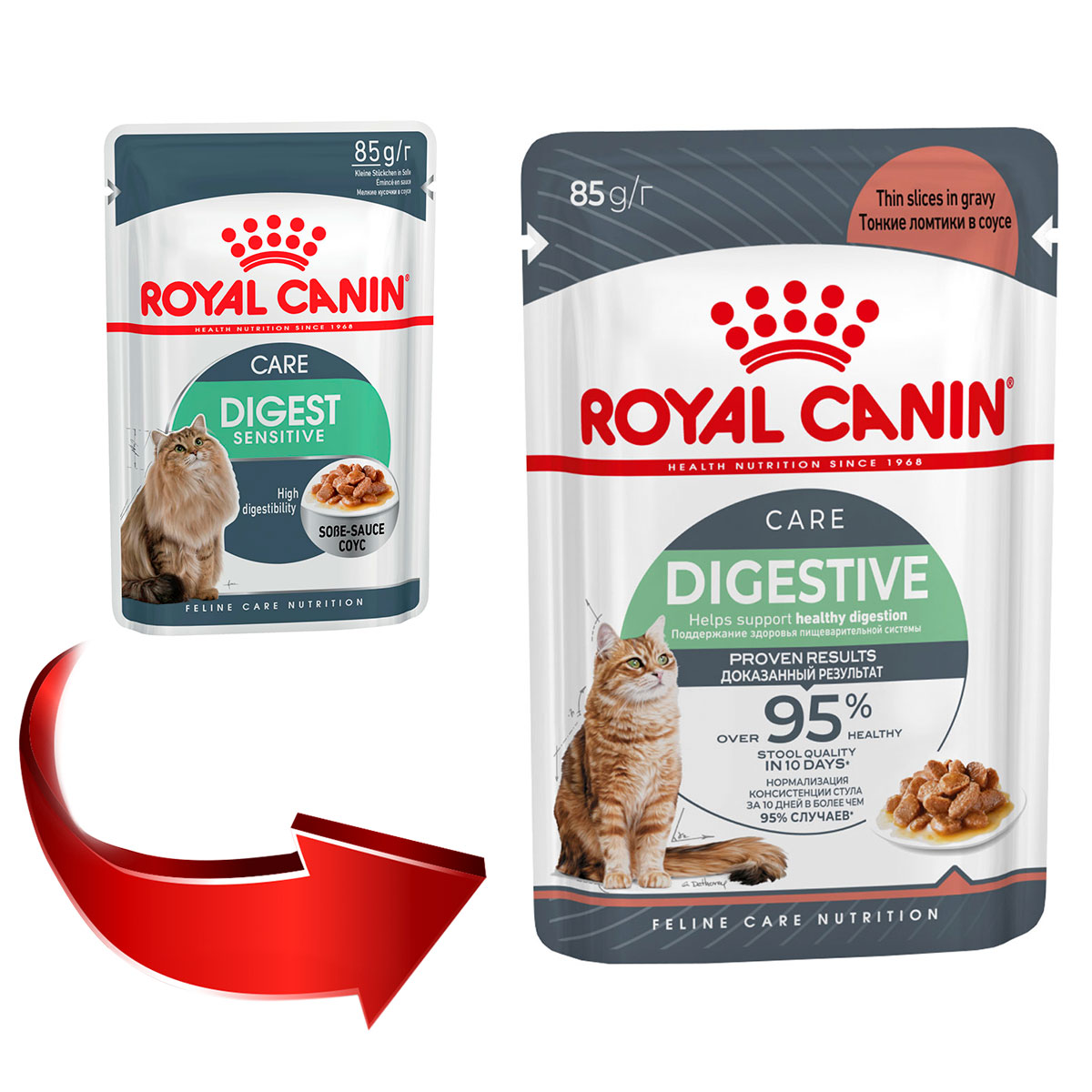 Корм royal canin digestive care. Роял Канин Диджестив. Royal Canin Digest sensitive. Роял Канин Дижестив для кошек. Royal Canin Digestive Care для кошек.