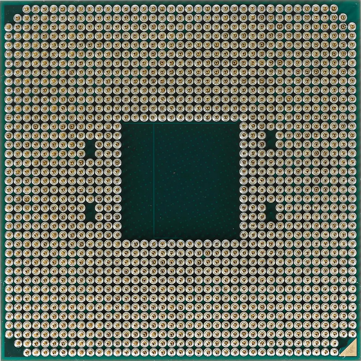 W socket. W socket
