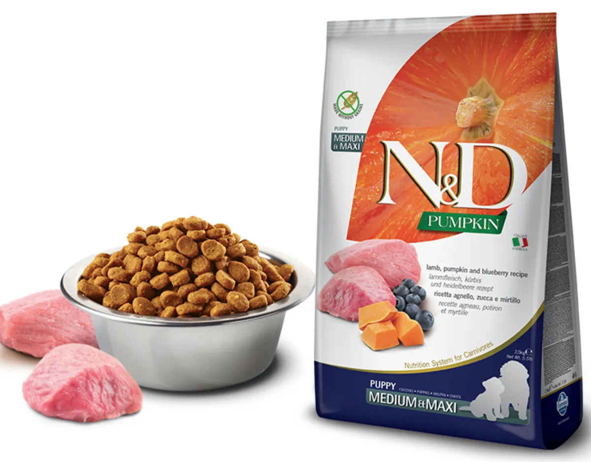 Фармина для щенков средних и крупных пород с ягнёнком и черникой. N&d корм ягненок. Farmina nd pumkins bluberu lamb владный для кошка. N d pumpkin корм для собак. Фармина нд ягненок черника для кошек.