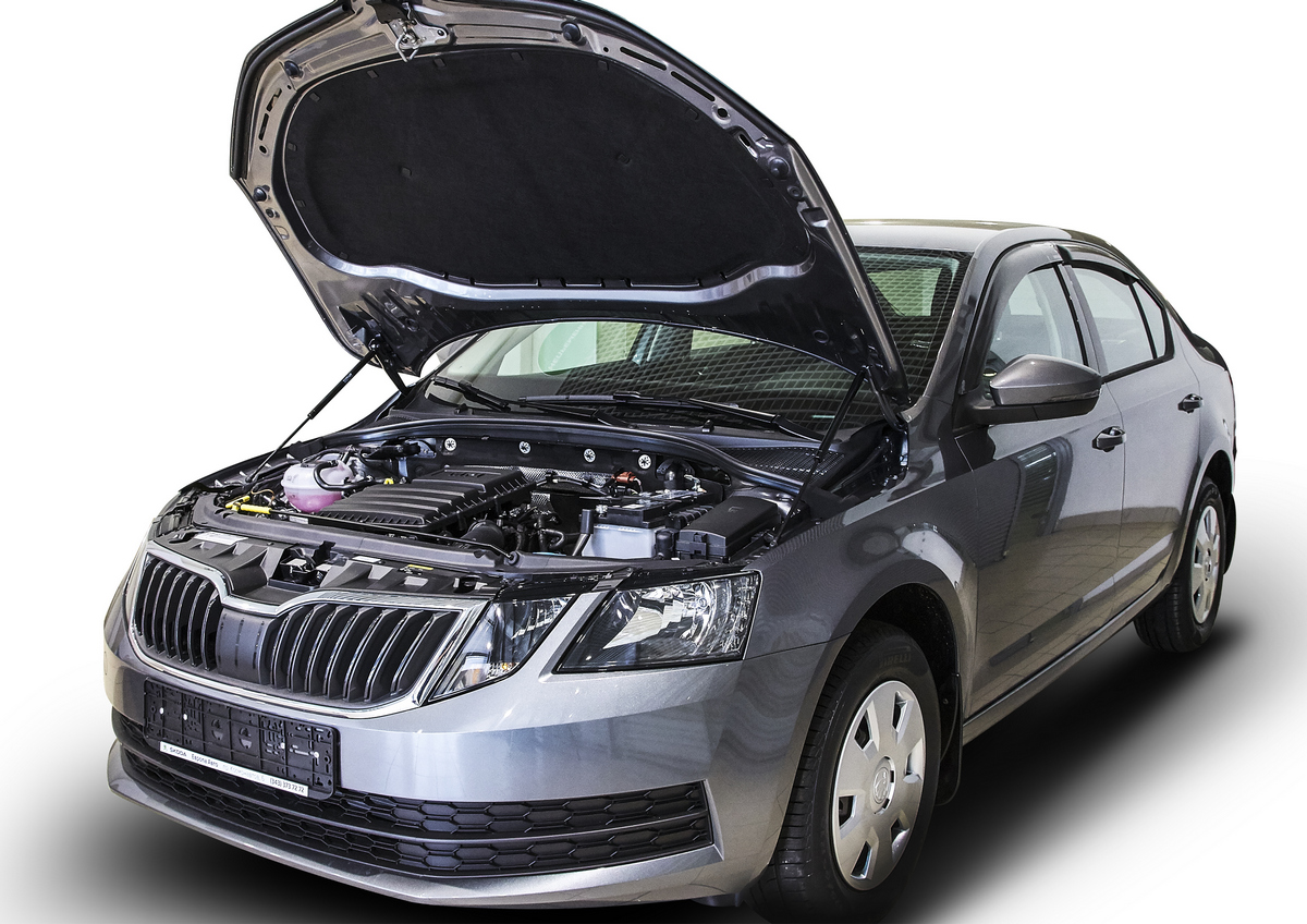 Газовые упоры капота АвтоУпор для Skoda Octavia A7 2013-2019, 2 шт.,  USKOA7012 - отзывы покупателей на Мегамаркет | 100000390379