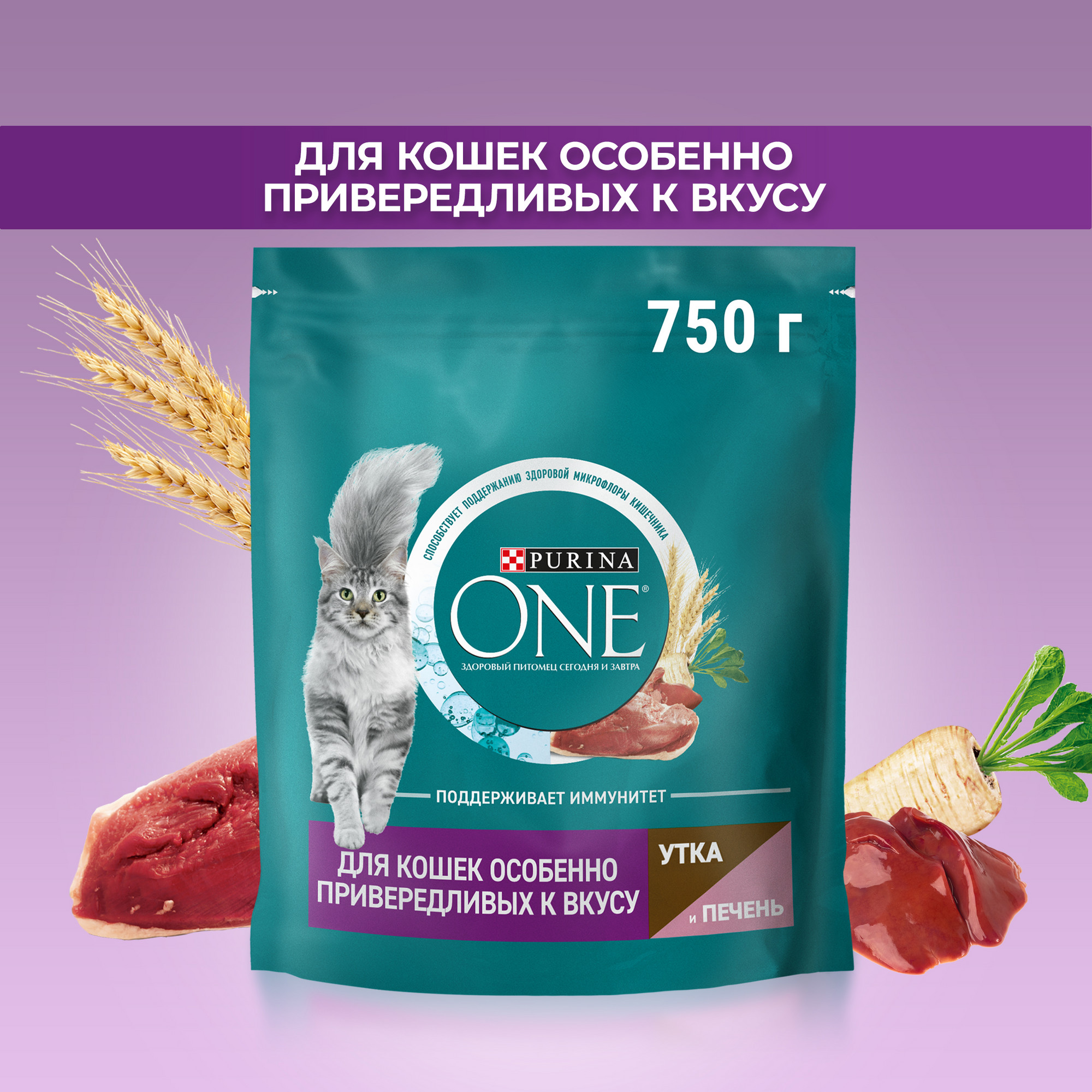 Купить сухой корм для кошек Purina ONE особенно привередливых к вкусу, утка и печень, 750 г, цены на Мегамаркет | Артикул: 600012996812