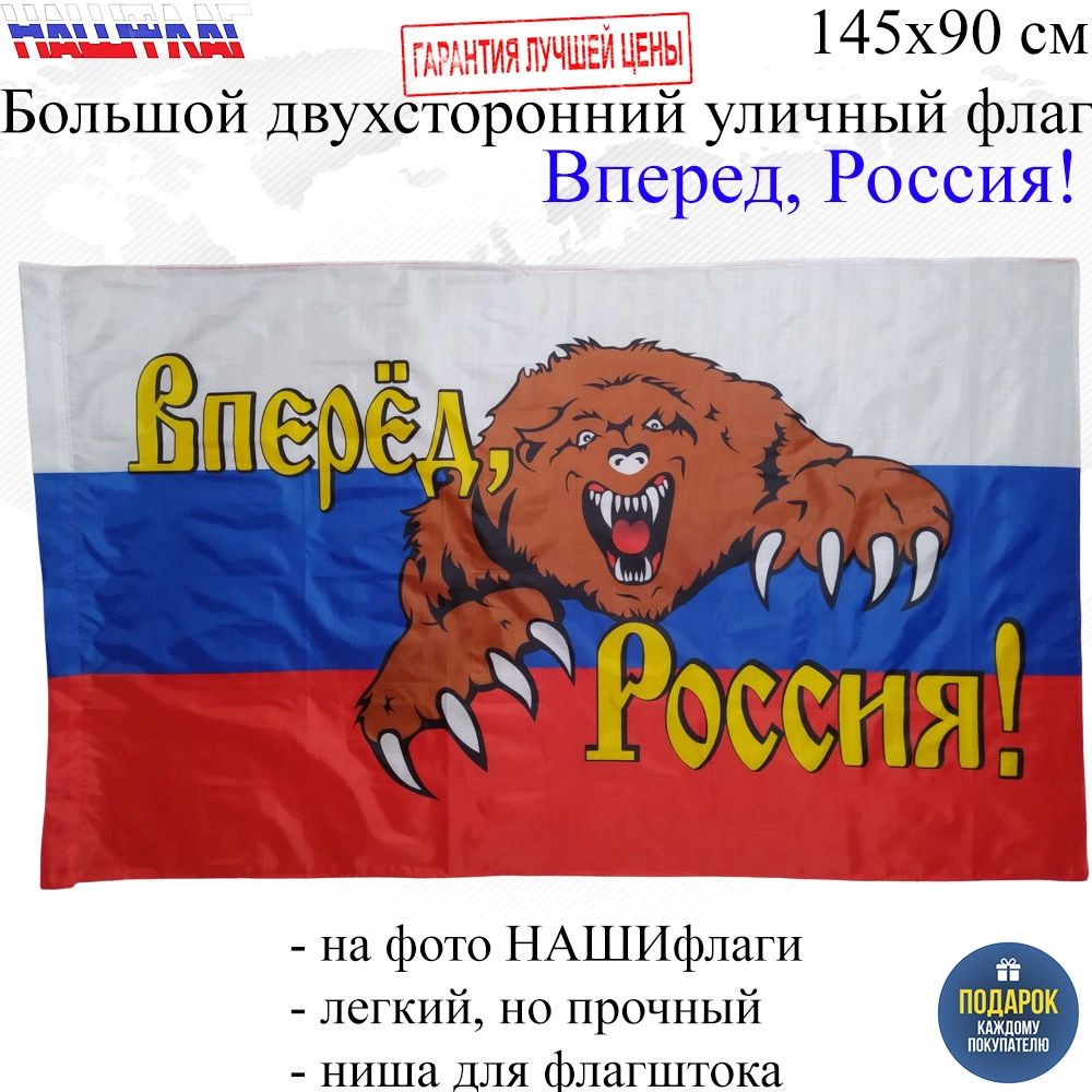 Флаг СССР, шапка-медведь и корейские фанаты РФ. Фото с матча Словакия – Россия