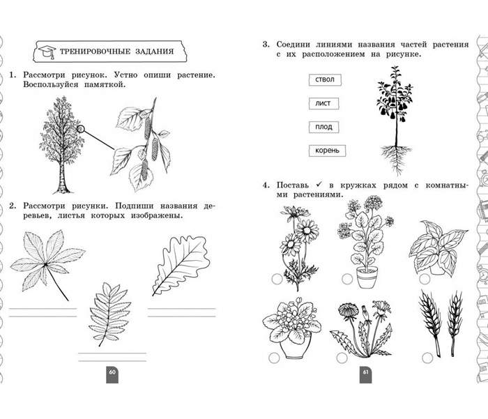 Подпиши изображения. Подпиши картинки 1 класс. 2 класс русский язык математика чтение окружающий мир проверочная. тренажер ученика 1-го класса.
