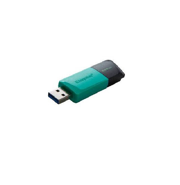 Флешка Kingston DataTraveler Exodia M 256GB (DTXM/256GB) – купить в Москве, цены в интернет-магазинах на Мегамаркет