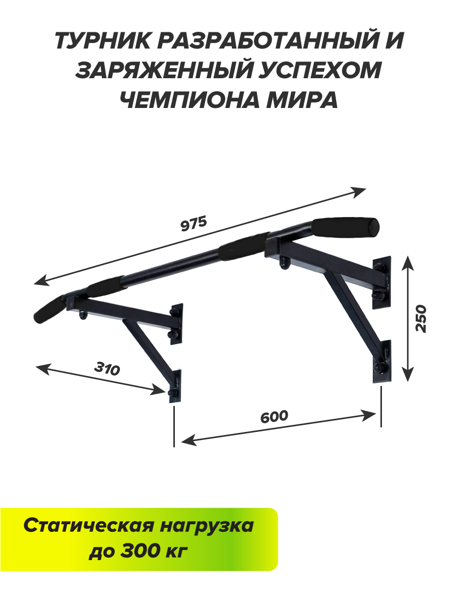 Турник настенный champion