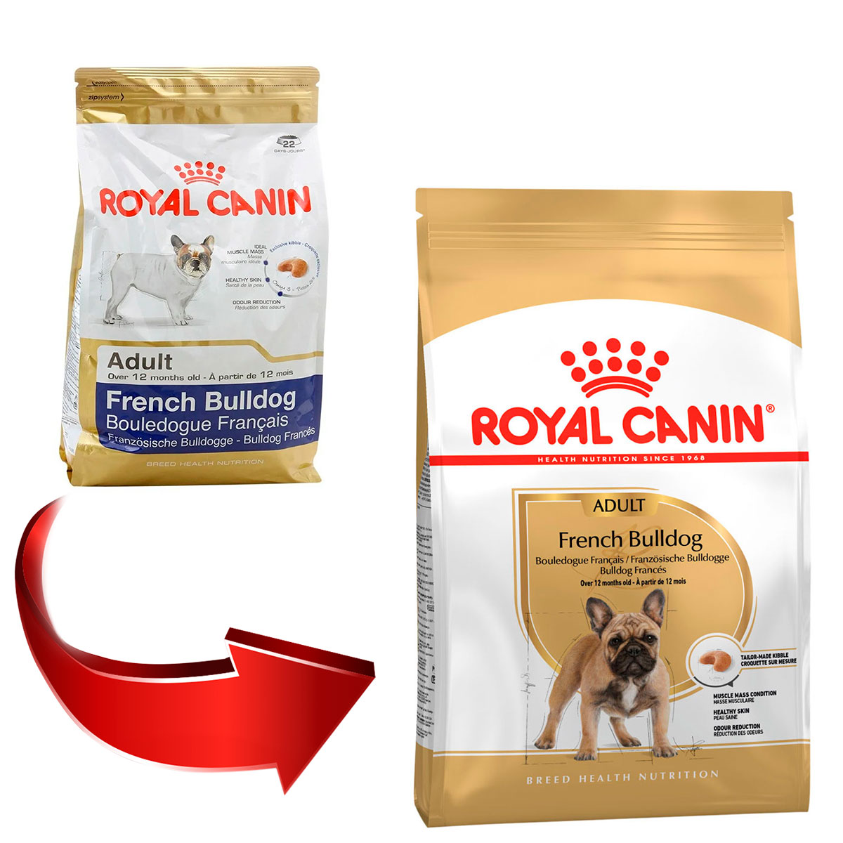 Royal canin french bulldog hot sale adult