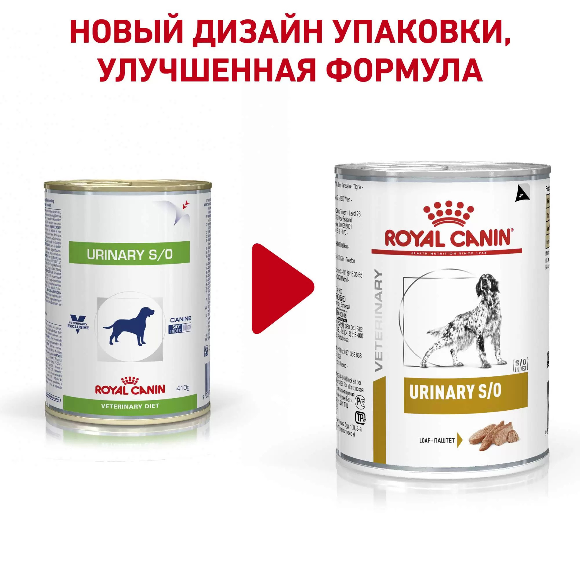 Royal Canin Diabetic для собак. Роял Канин гастро Интестинал Лоу фэт для собак консервы. Royal Canin Diabetic для кошек влажный. Роял Канин Сатиети для собак мелких пород.