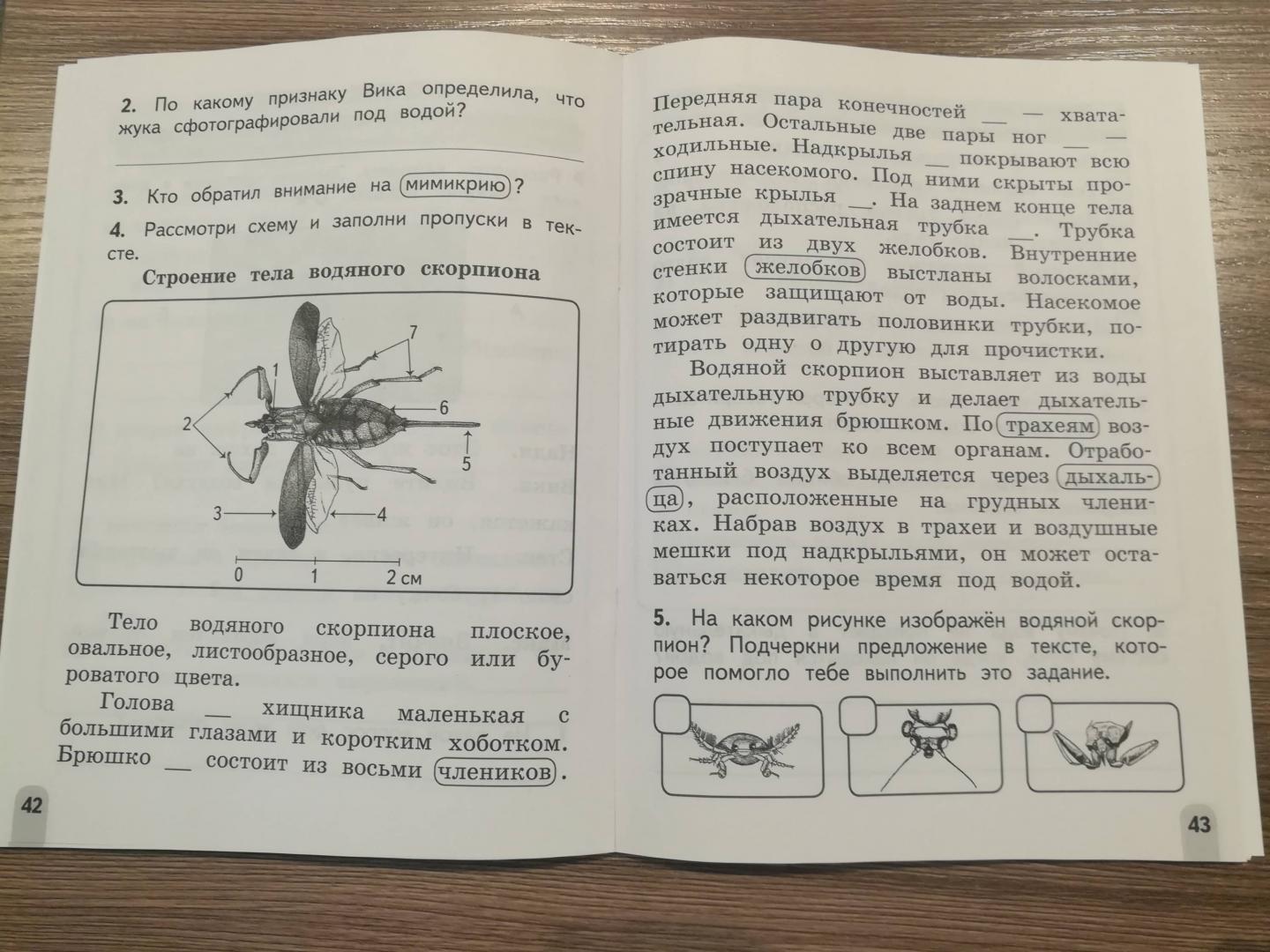 Смысловое чтение ответы. Смысловое чтение 2 класс. Книга смысловое чтение 2 класс. Ульяхина смысловое чтение. Ульяхина смысловое чтение 2 класс.