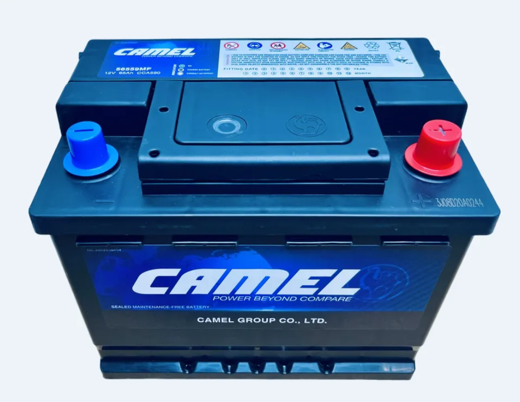 Аккумулятор CAMEL 65Ач EN600 242х175х190 - купить в A-ProFI, цена на Мегамаркет