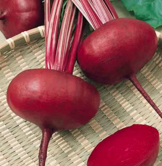 Как выглядит красная свекла Beetroot 'Chioggia' (Globe) seeds Thompson & Morgan