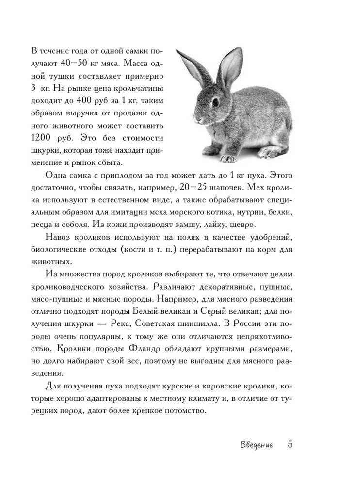 Методы содержания кроликов на даче