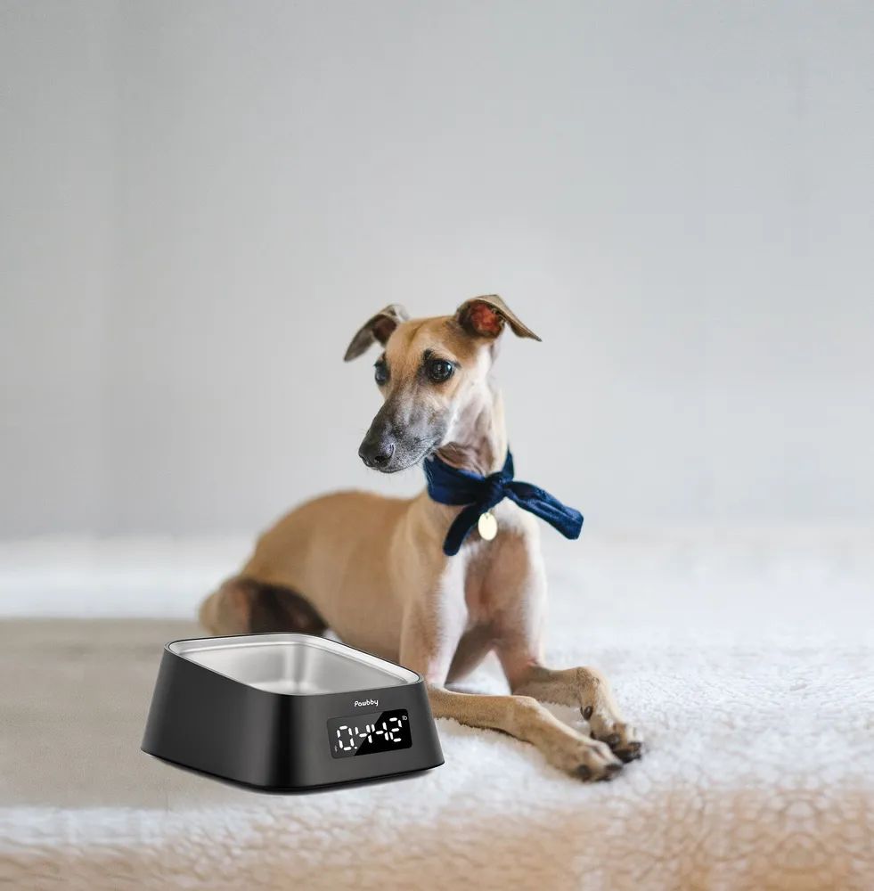 Smart clearance pet bowl