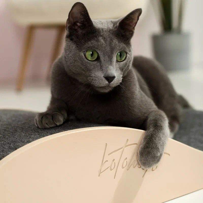 Котомото. Большая когтеточка для кошек