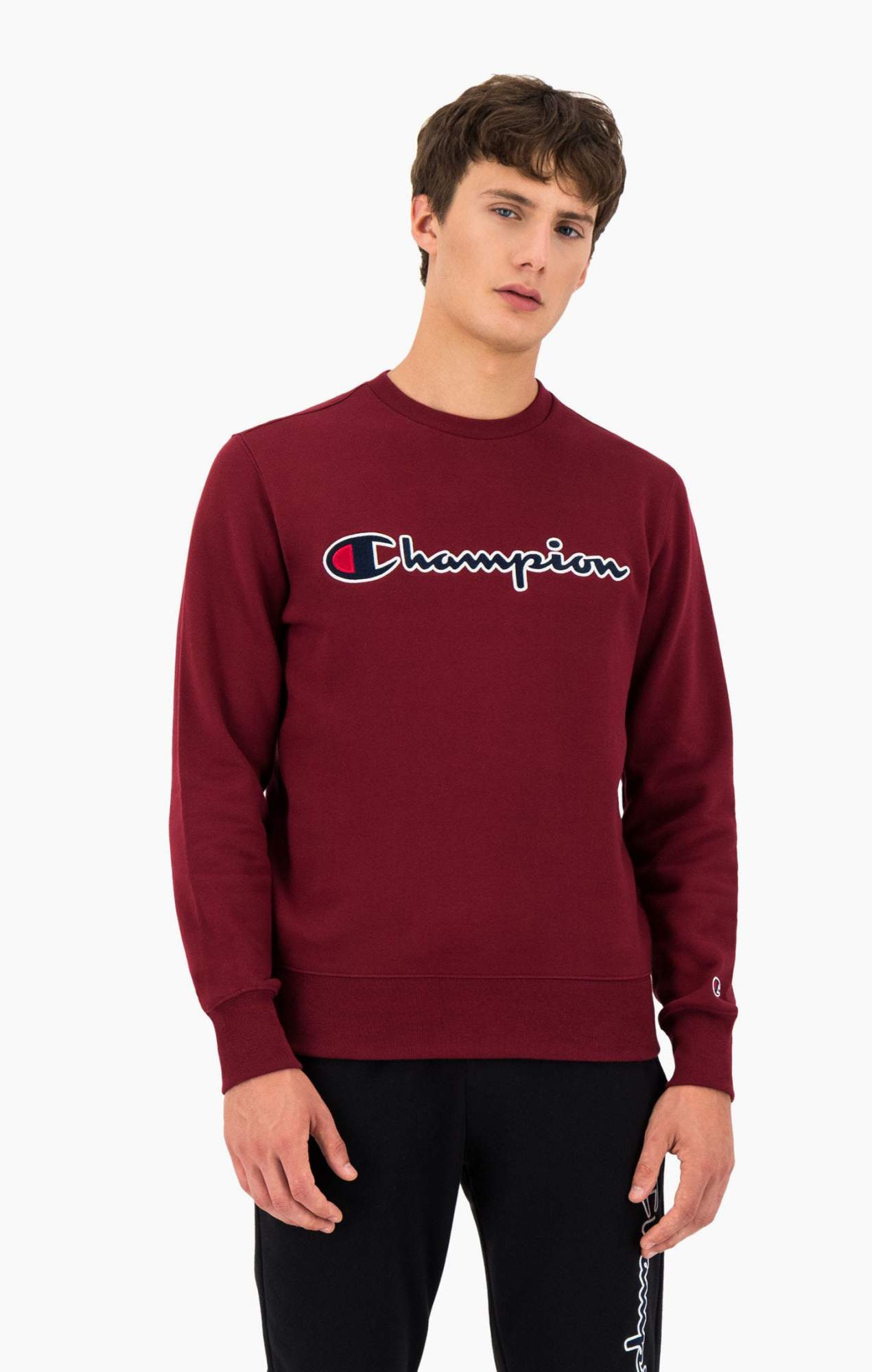 Champion Satin Script Logo Cotton Terry Hoodie S