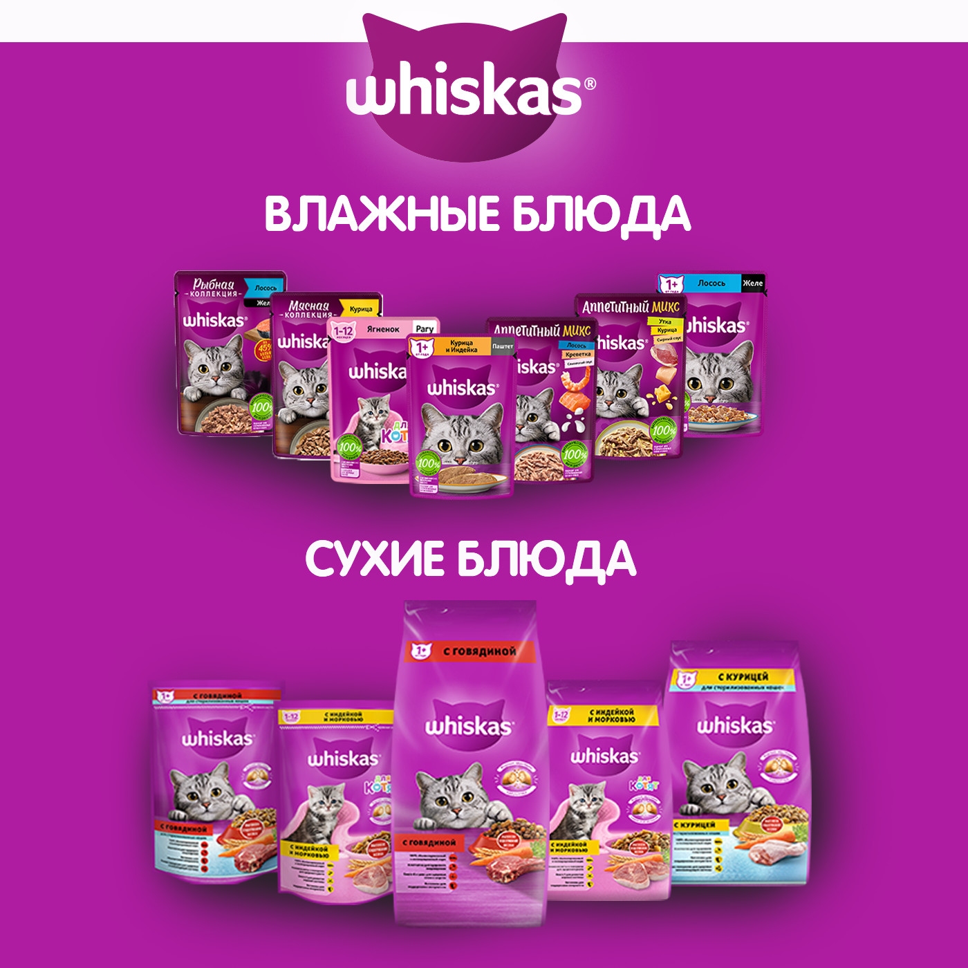 Влажный корм WHISKAS для котят от 1 до 12 месяцев, рагу с ягненком, 28 шт  по 75г - отзывы покупателей на маркетплейсе Мегамаркет | Артикул  товара:600003755484