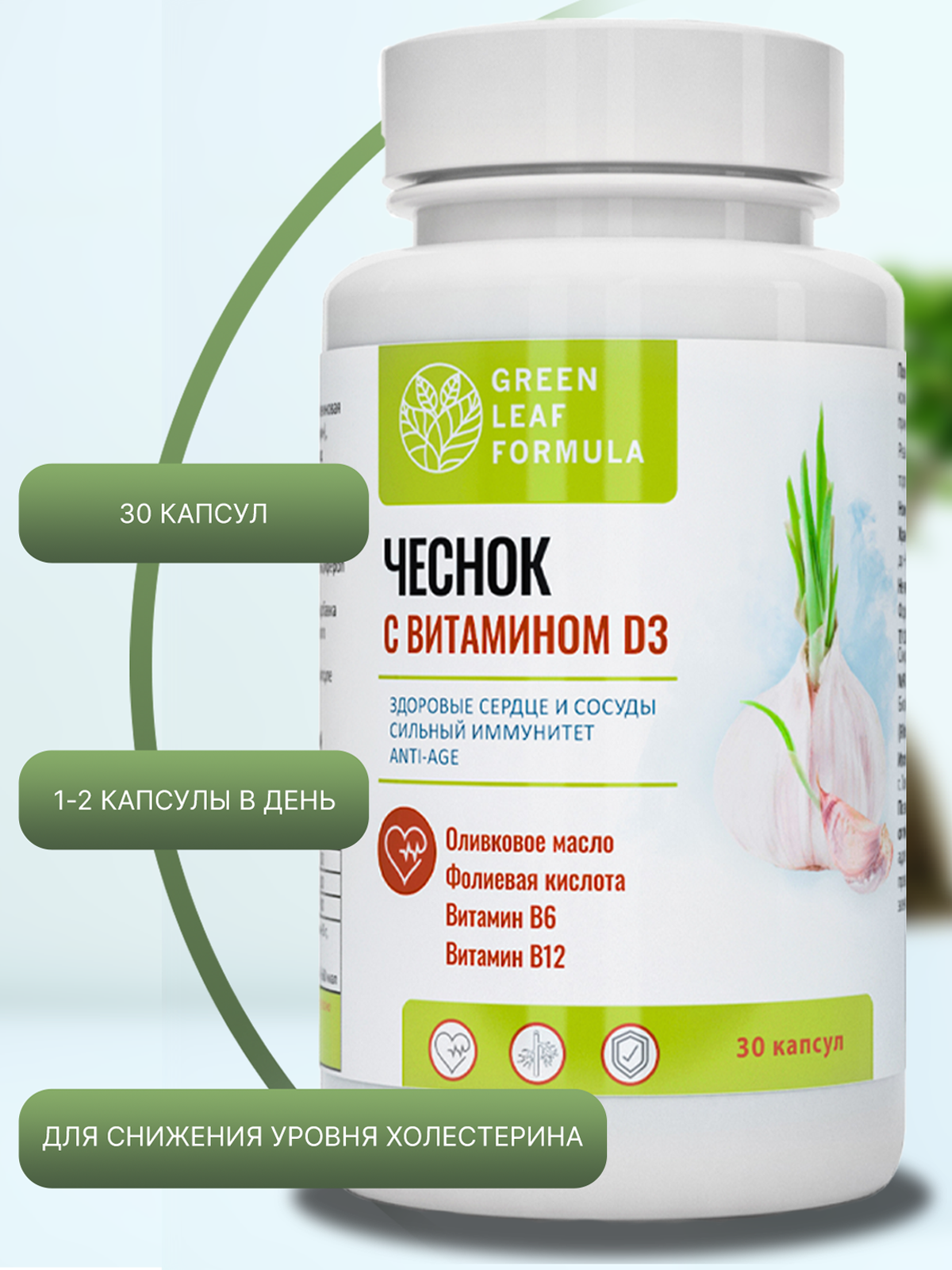 Экстракт чеснока с витамином Д3 + VENAPRONT от варикоза Green Leaf Formula  капсулы 90 шт. - купить в интернет-магазинах, цены на Мегамаркет |  витамины, минералы и пищевые добавки 110-145-19