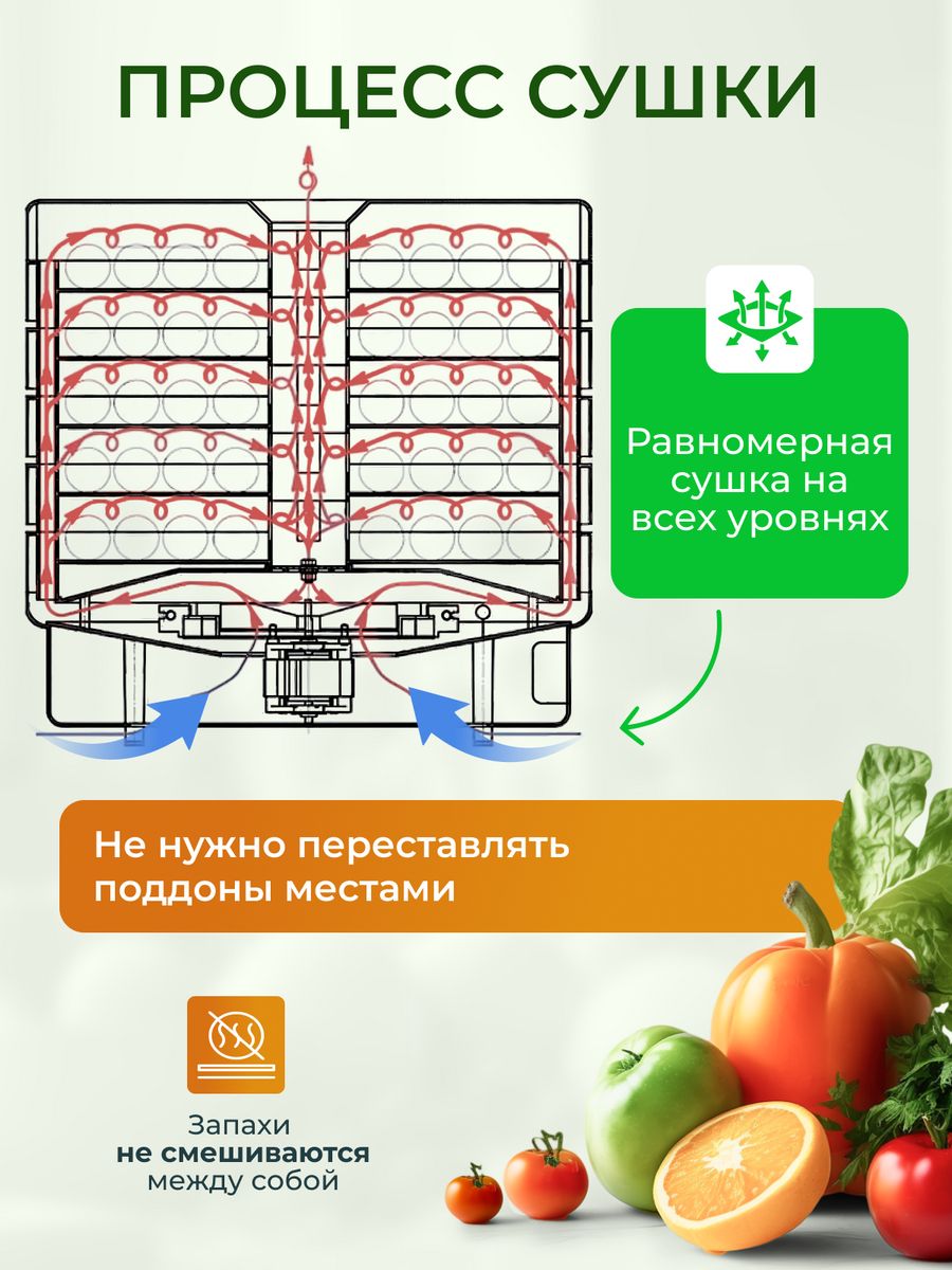 Сушилка для овощей и фруктов Волтера 1000 Люкс - отзывы покупателей на  маркетплейсе Мегамаркет | Артикул: 600000756071