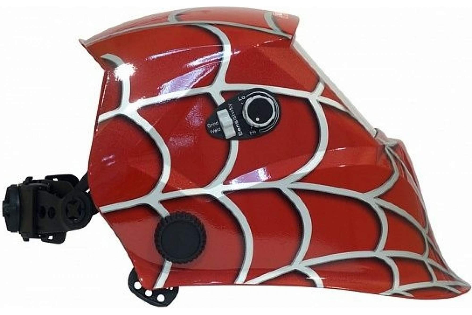 паук araneus diadematus конечности. Shamrock orbweaver паук. мизгирь плетет паутину. пауки тетрагнатиды паутина. домашний паук.