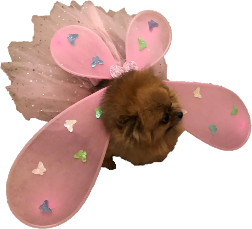Костюм карнавальный для собак Маленькая Фея два предмета (юбка+крылья) LED светящийся