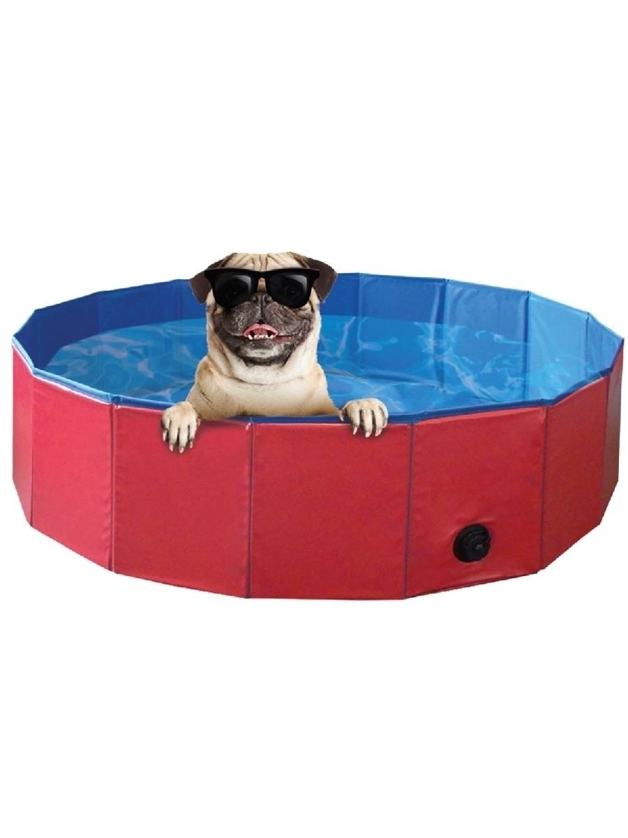 Бассейн для собак Nobby Cooling-Pool, красно-синий, 120 х 120 х 30 см