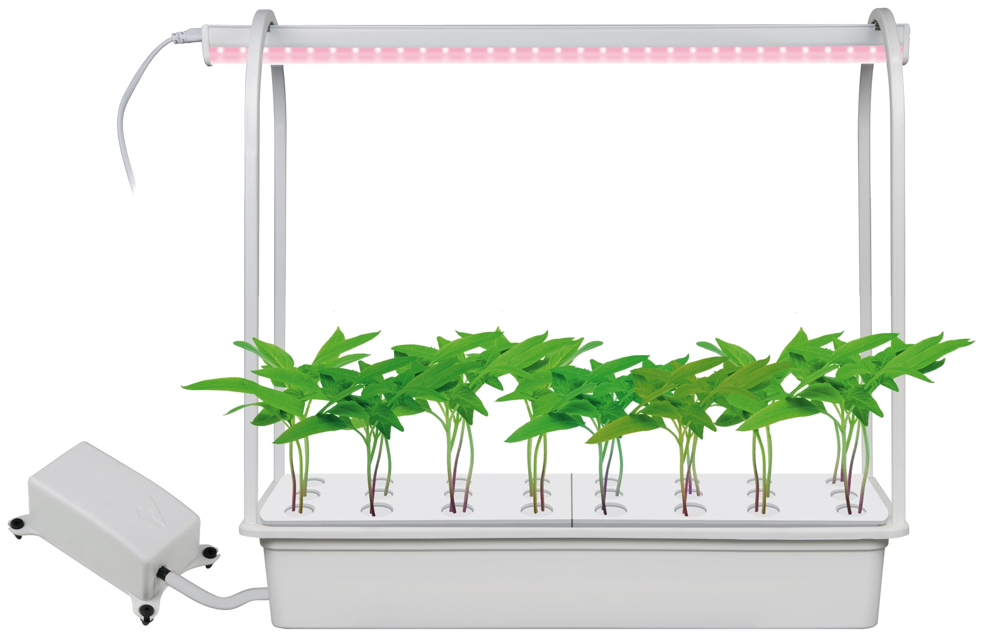 Набор Uniel для гидропоники Минисад Aqua 15 Вт – купить в Москве, цены в  интернет-магазинах на Мегамаркет