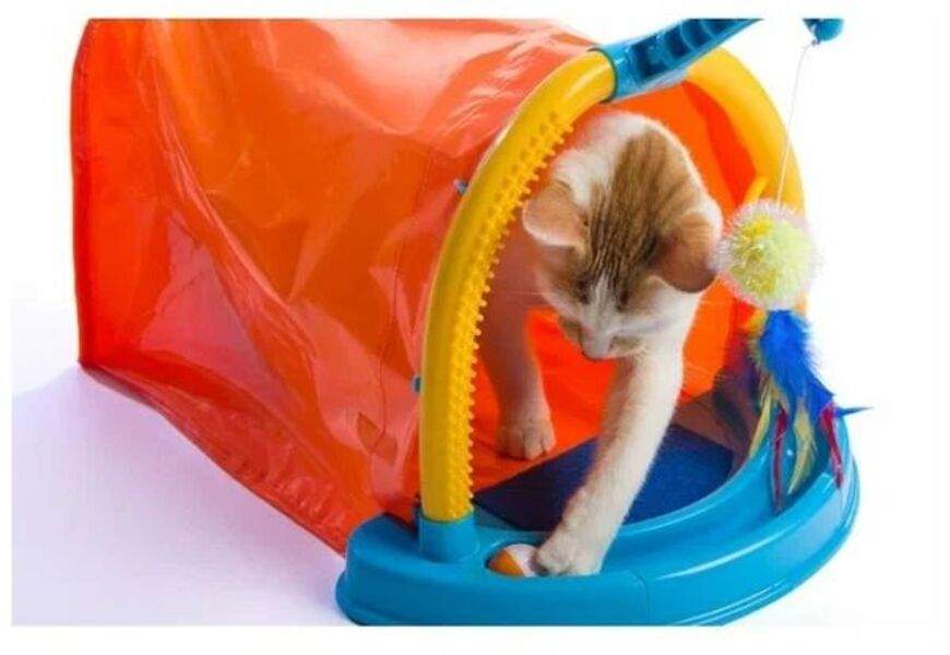 Hartz just for clearance cats hide n play