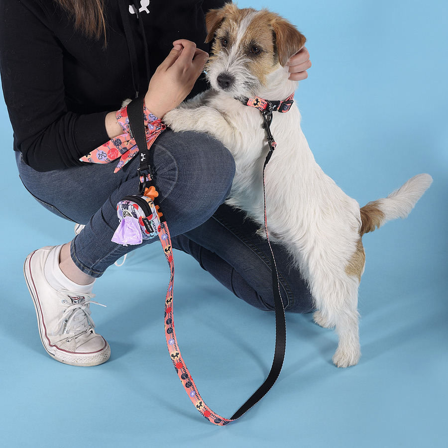 United pets. Pets united 2020 love. United pets. United pets. United pets.