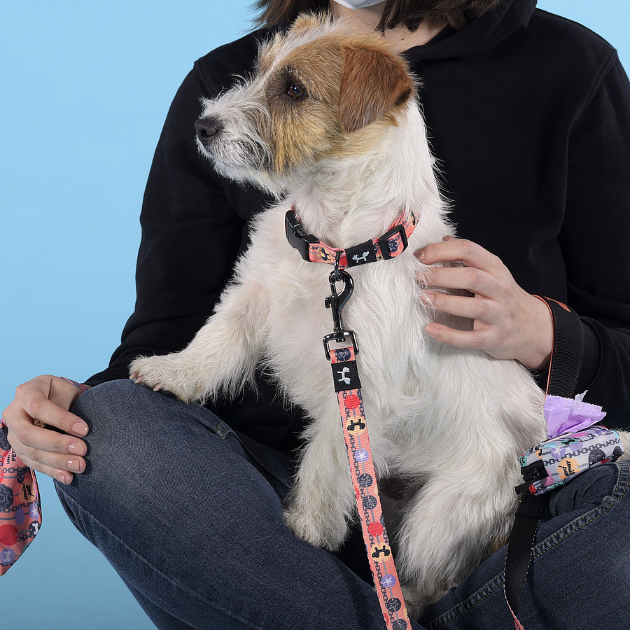 Шлейка оранжевая с цветочками. Союз зверей спасение двуногих. United pets. Союз зверей: спасение двуногих (2019). Союз зверей спасение двуногих герои.