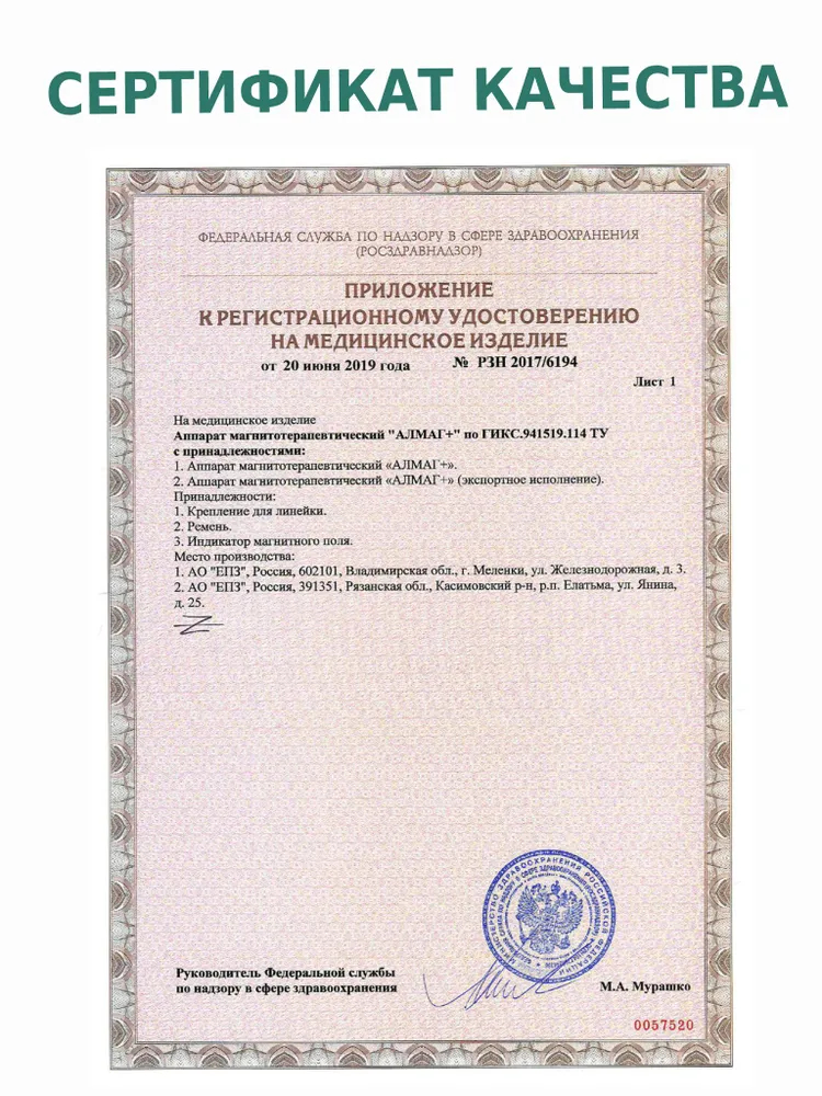 Аппарат магнитотерапевтический Еламед Алмаг+ (Алмаг Плюс) - купить в ...
