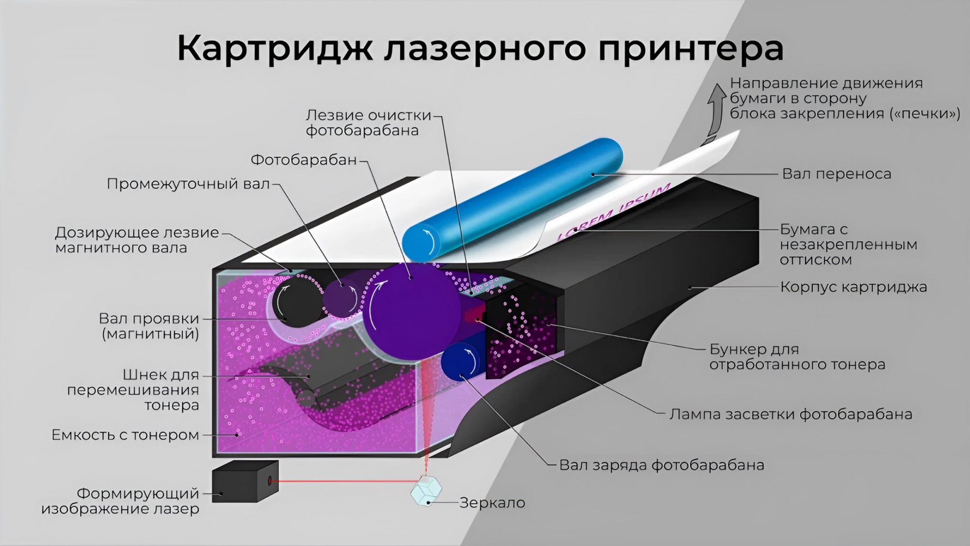 Устройство лазерных картриджей. Структура картриджа лазерного принтера. Из чего состоит картридж лазерного принтера. Строение лазерного картриджа