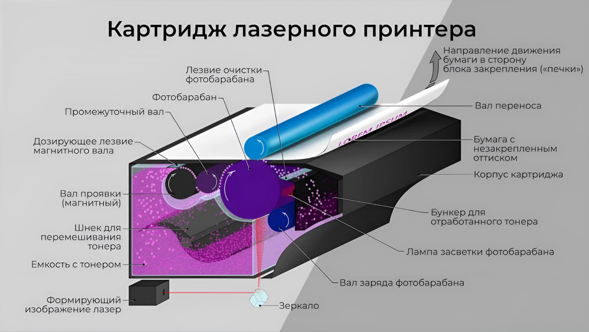 Картридж сыпется тонер. Структура картриджа лазерного принтера. Из чего состоит картридж лазерного принтера. Строение лазерного картриджа.