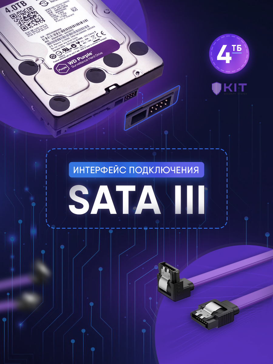 10 Tb Жесткий Диск Purple Купить
