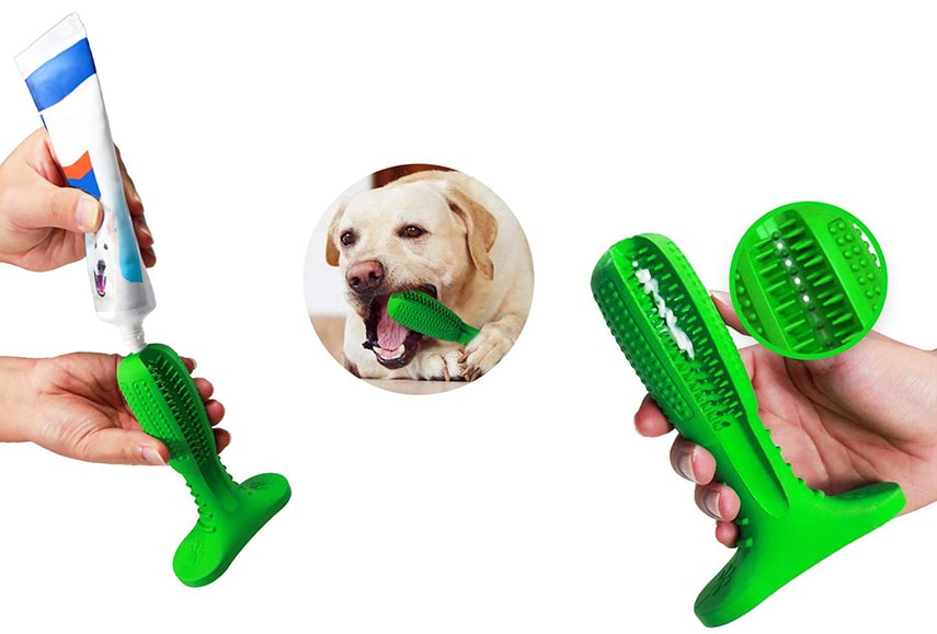 Actibrush 2025 dog toothbrush