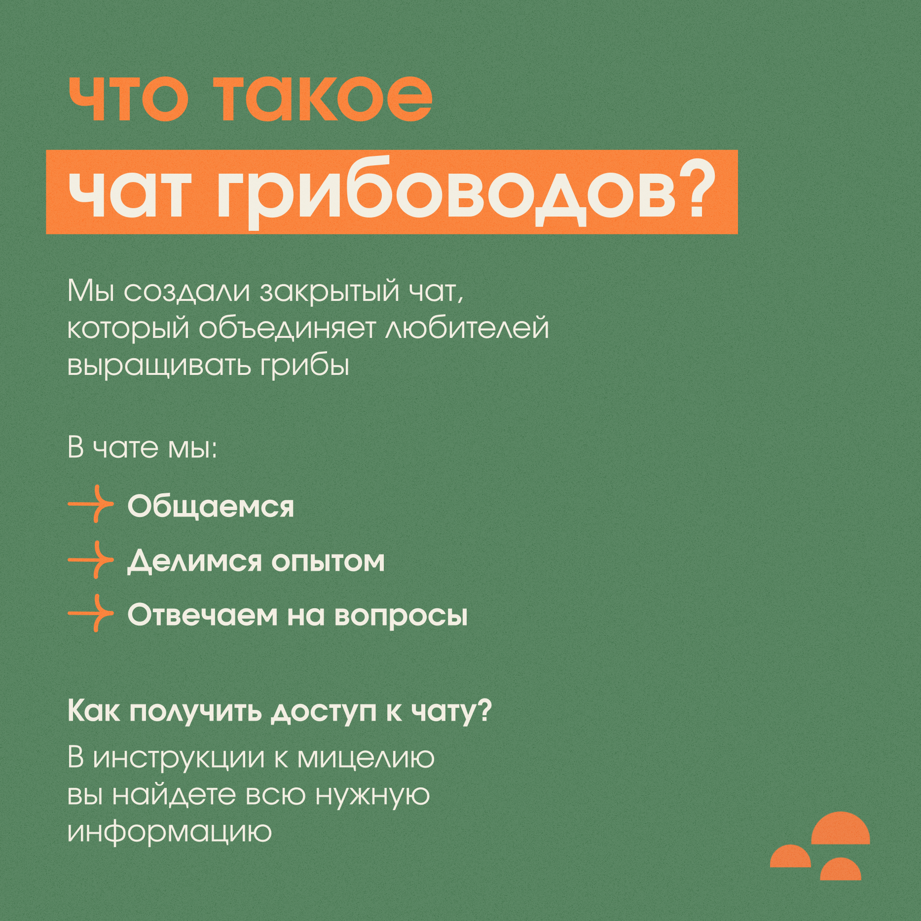 Мицелий опенка тополиного Агроцибе Грибы пошли. Семена грибов. Grib_Honey -  купить в Москве, цены на Мегамаркет | 600015180905