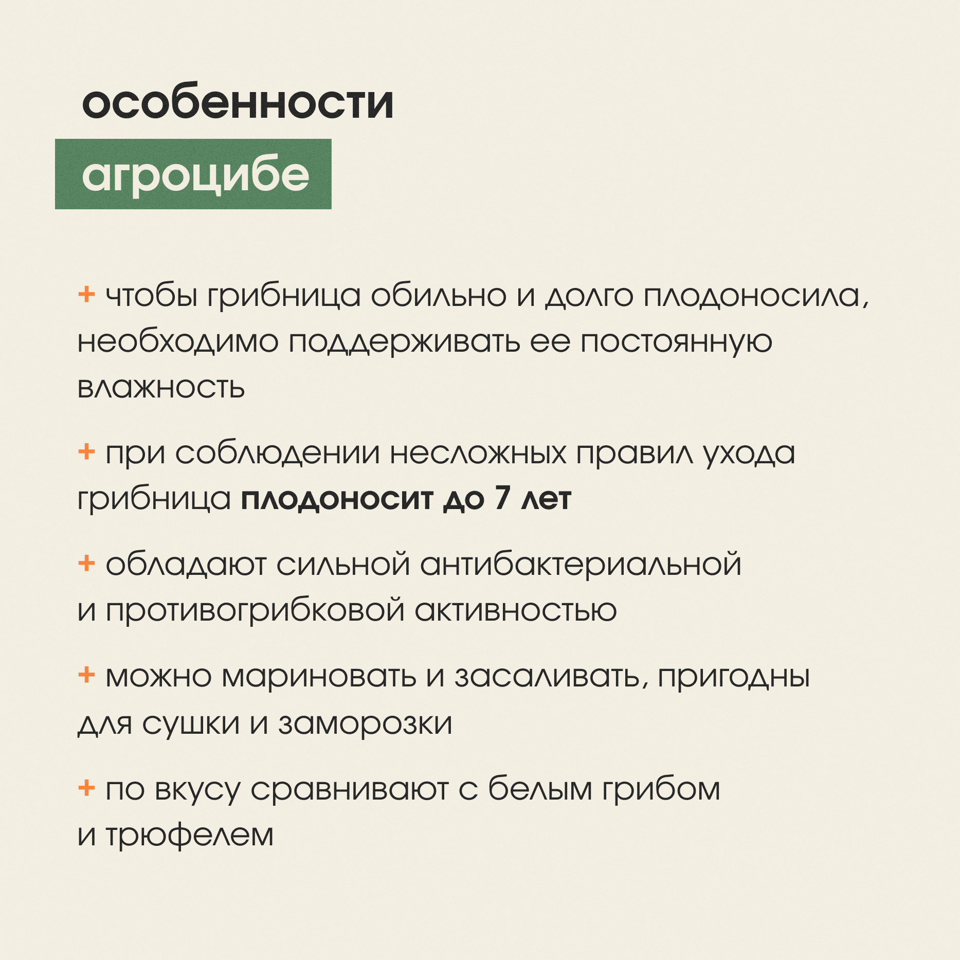 Мицелий опенка тополиного Агроцибе Грибы пошли. Семена грибов. Grib_Honey -  купить в Москве, цены на Мегамаркет | 600015180905