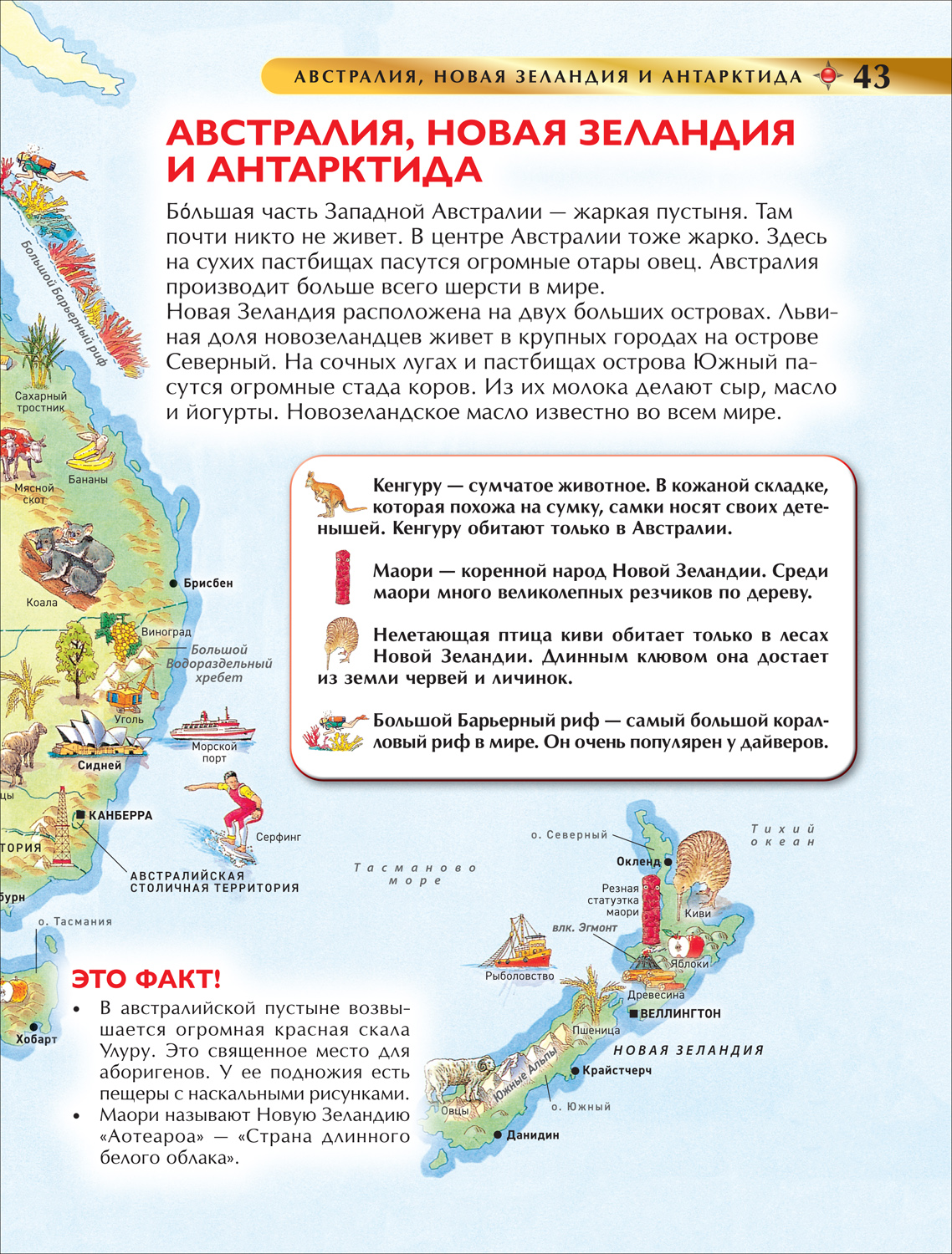 Атлас мира - купить детской энциклопедии в интернет-магазинах, цены на  Мегамаркет | 978-5-353-10535-0