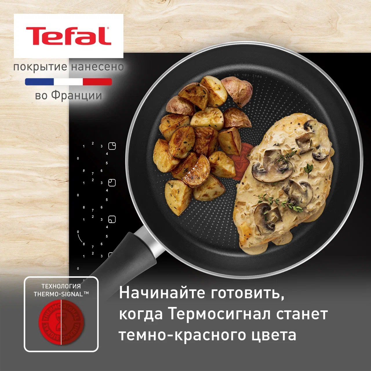 Набор посуды Tefal Daily Expert 04234820 с крышкой, 24/26 см - отзывы  покупателей на Мегамаркет | 600014776519