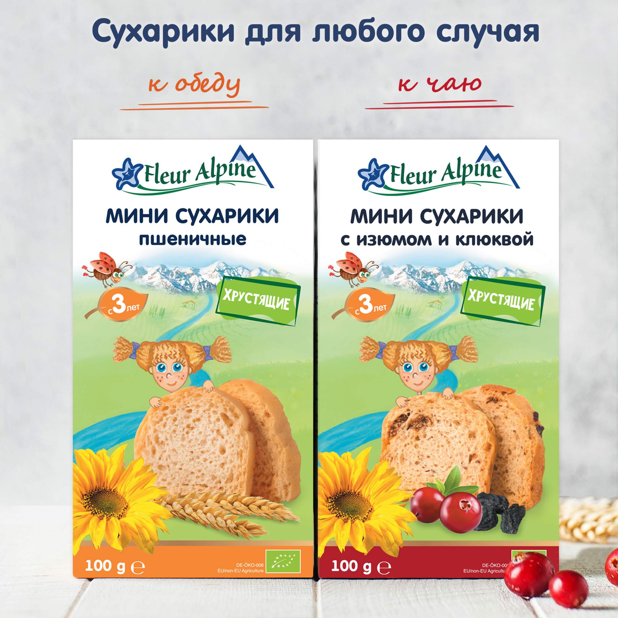 Купить сухарики Fleur Alpine Organic пшеничные с 3 лет 100 г, цены на  Мегамаркет | Артикул: 100029671222