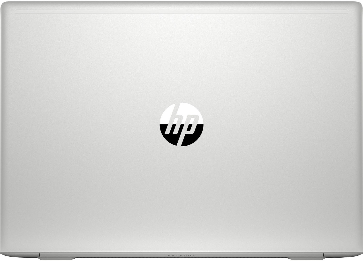 Ноутбук HP ProBook 455 G7 (1F3M4EA)