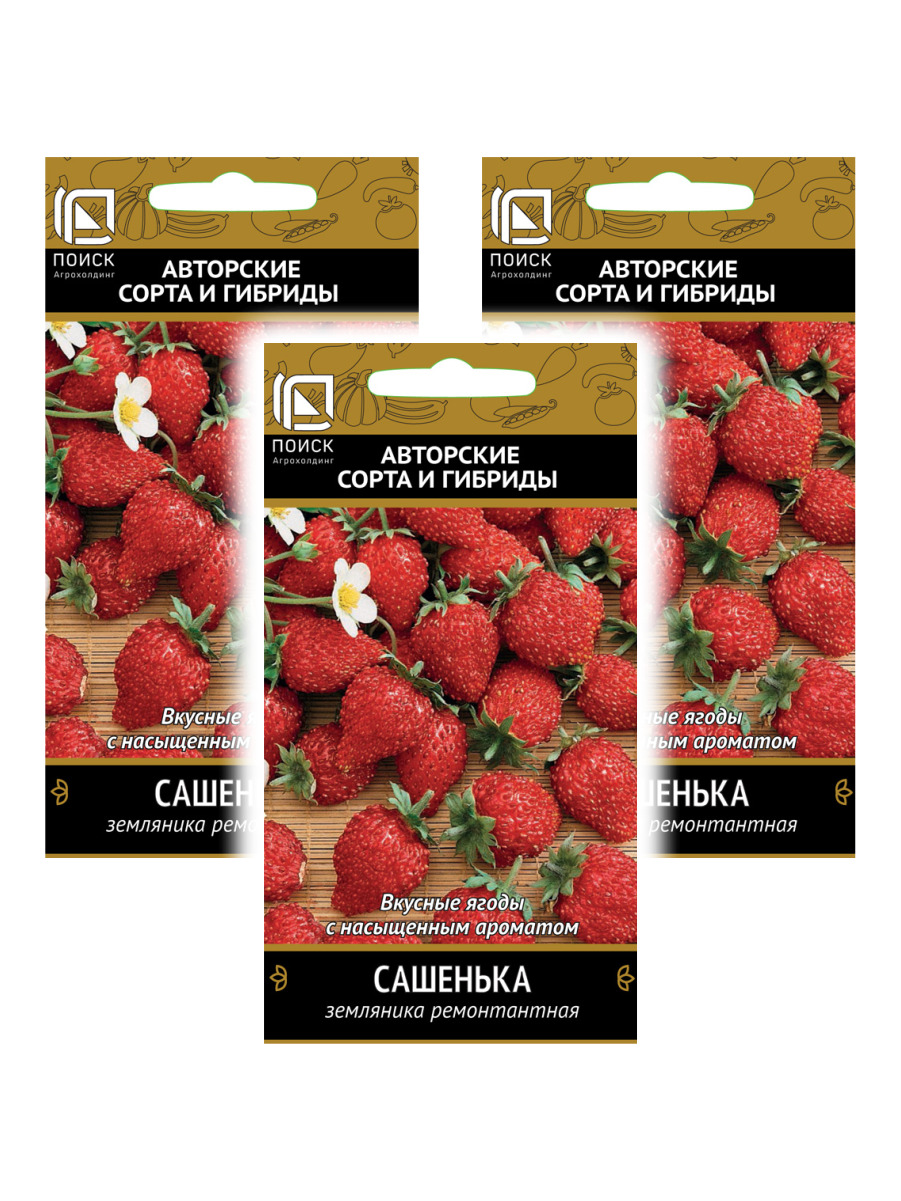 Земляника сашенька f1. Клубника сашенька фото. Клубника сашенька фото. Семена клубника сашенька f1. Земляника ремонтантная сашенька.