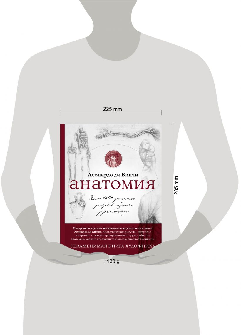 Комплект Анатомия Леонардо – купить в Москве, цены в интернет-магазинах на  Мегамаркет