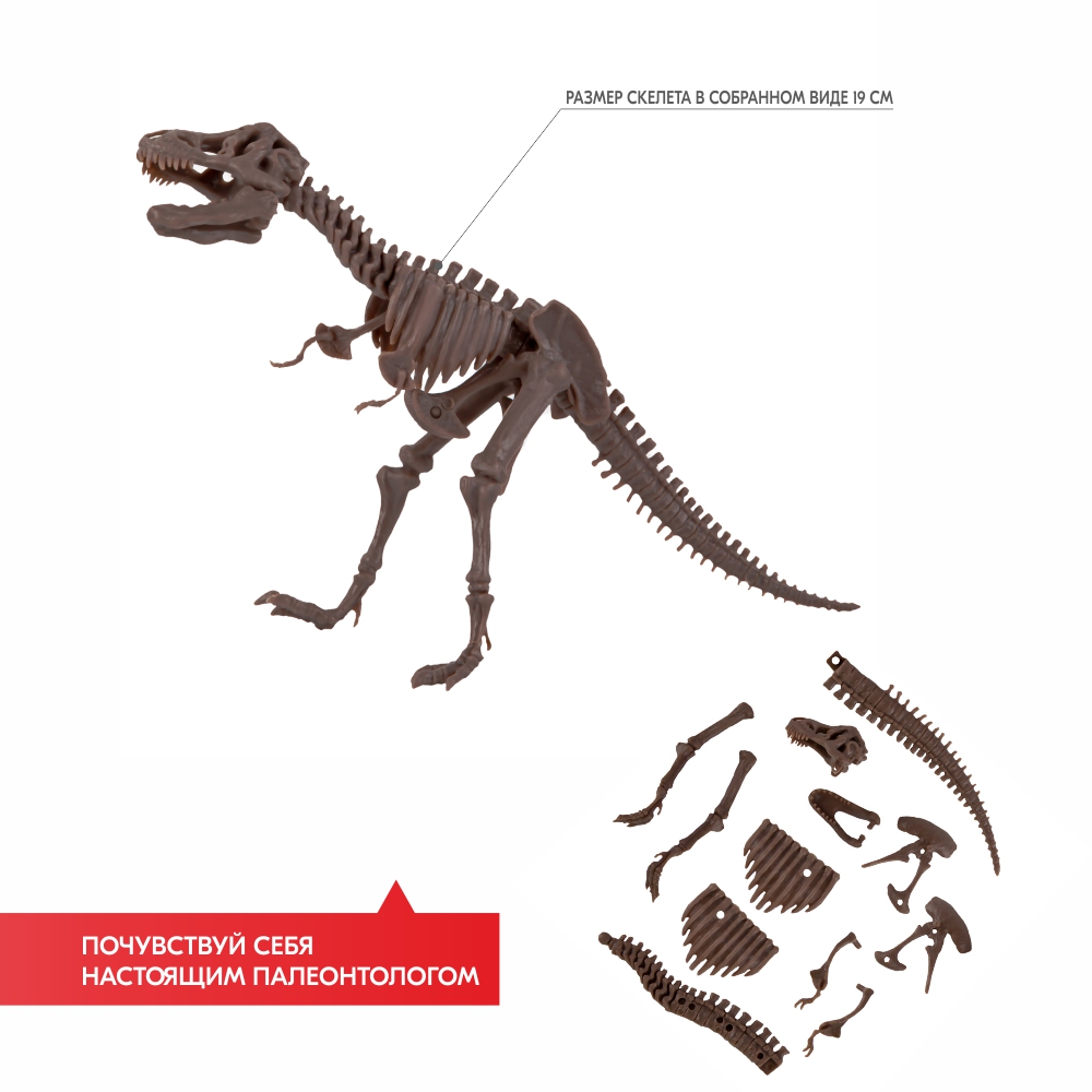 Как сделать скелет динозавра в майнкрафте