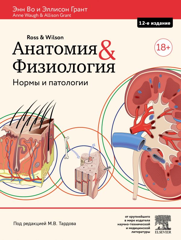 Книга Анатомия и физиология. Нормы и патологии