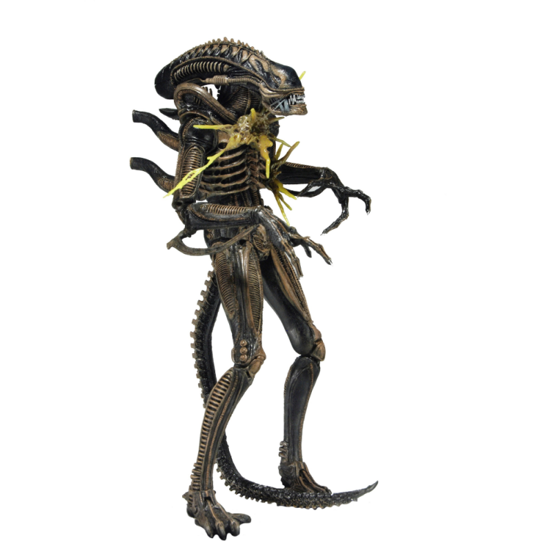 Чужой крушитель фигурка. Фигурки neca aliens. Фигурка чужой - альфа ксеноморф (28 см). Чужой фигурка. Фигурка чужой воин ксеноморф.