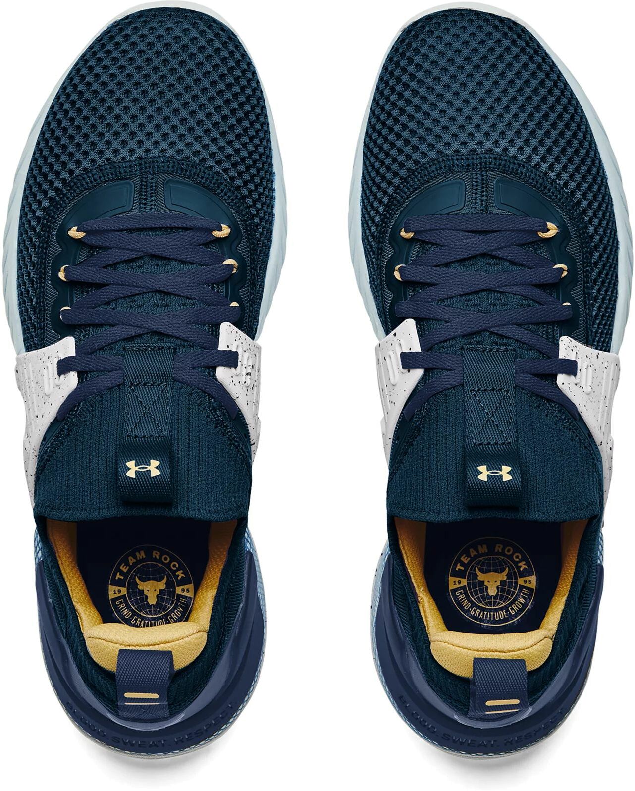 Under Armour Project Rock 4