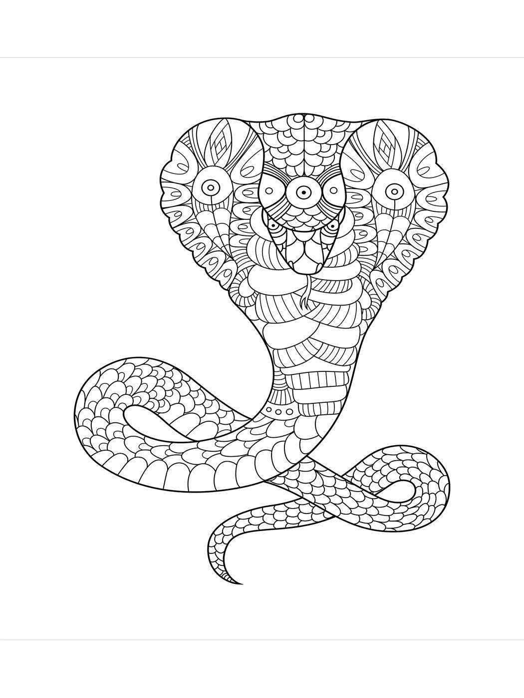 китайская кобра png Klipartz