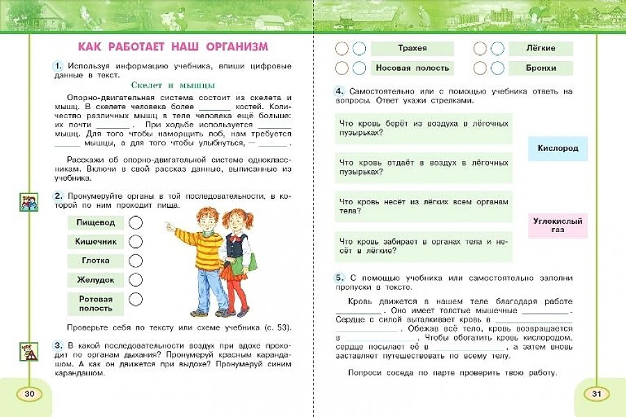 Ты и твои друзья презентация 2 класс окружающий мир плешаков