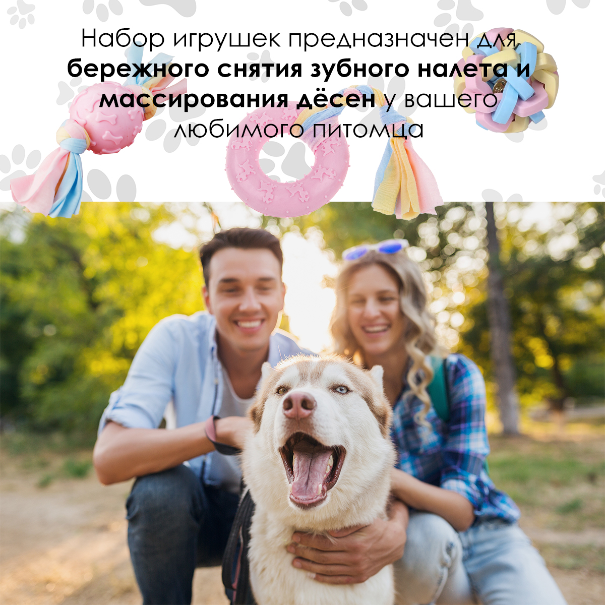 Friends for pets. Счастливая собака с хозяином. Веселый человек с собакой. Счастливый человек с собакой. Радостный человек с собакой.