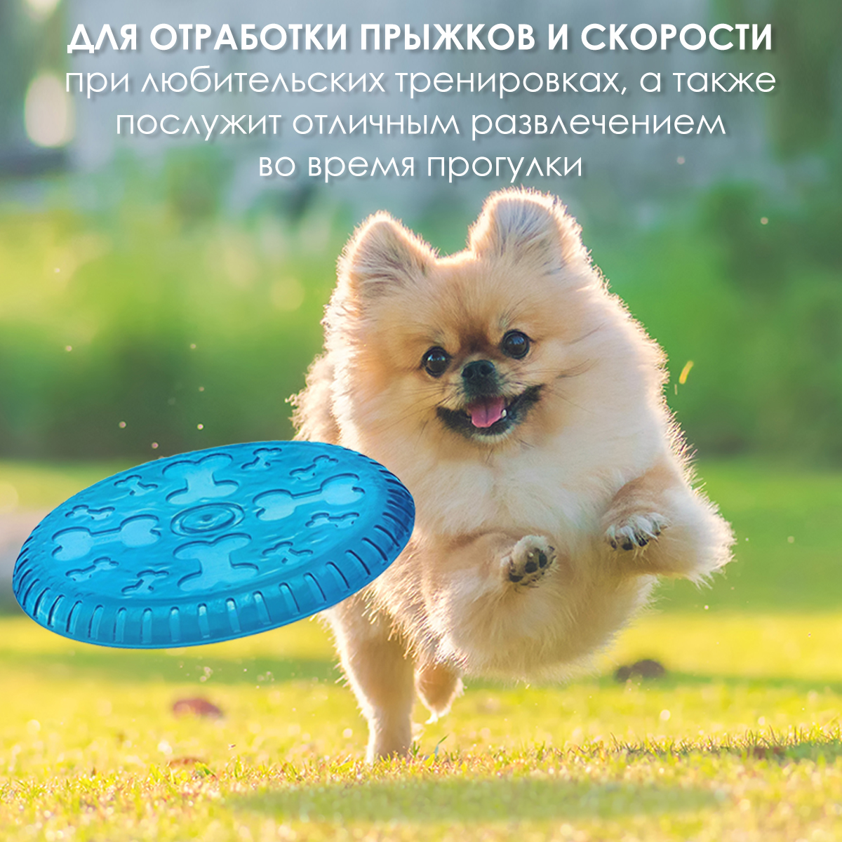 Купить игрушка фрисби для собак, цвет голубой, 23 см, Pets & Friends  PF-TOY-13, цены на Мегамаркет | Артикул: 600006845443