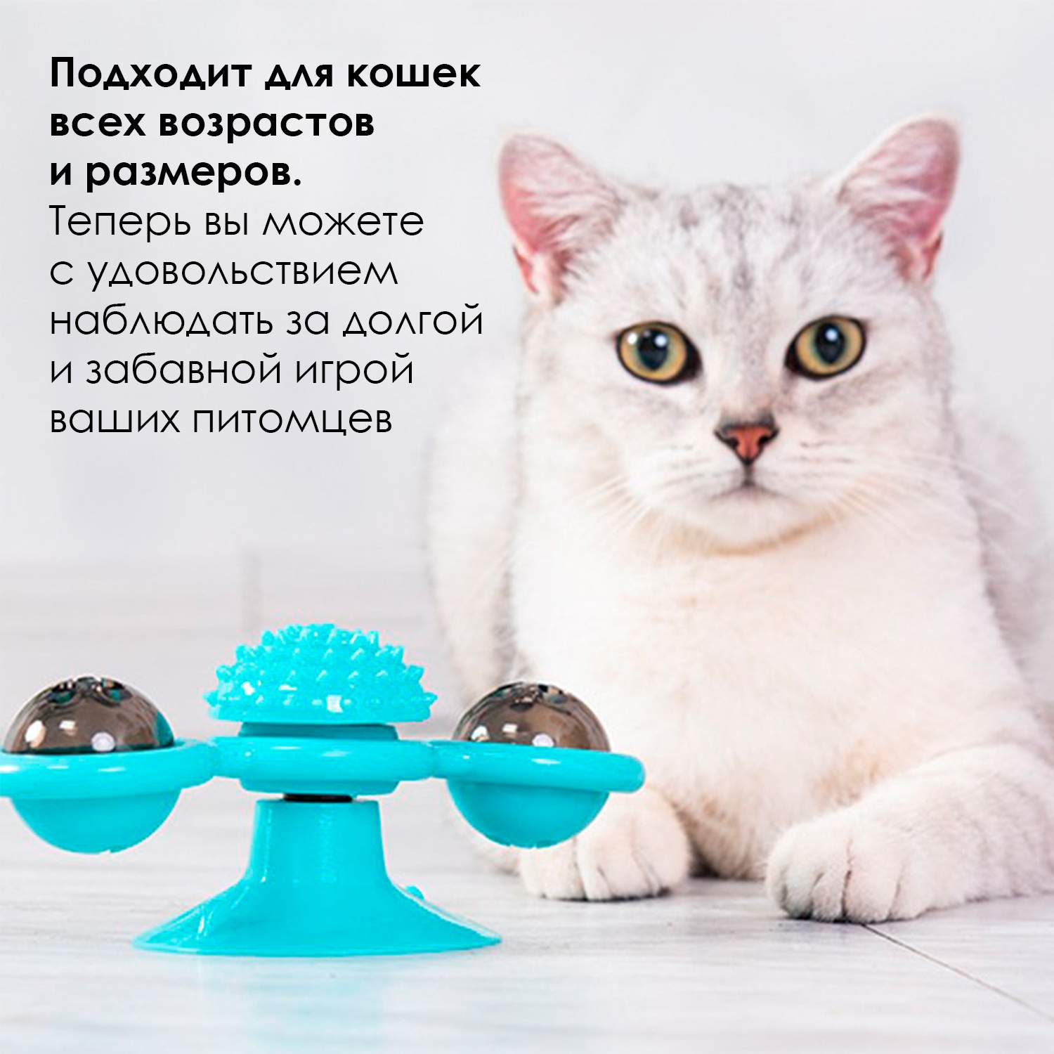 Купить игрушка для кошек на присоске Винт, цвет голубой, Pets & Friends  PF-TOY-07, цены на Мегамаркет | Артикул: 600006845356